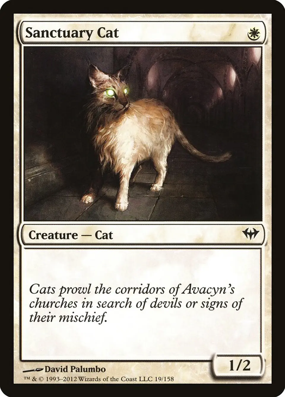 Sanctuary Cat 1