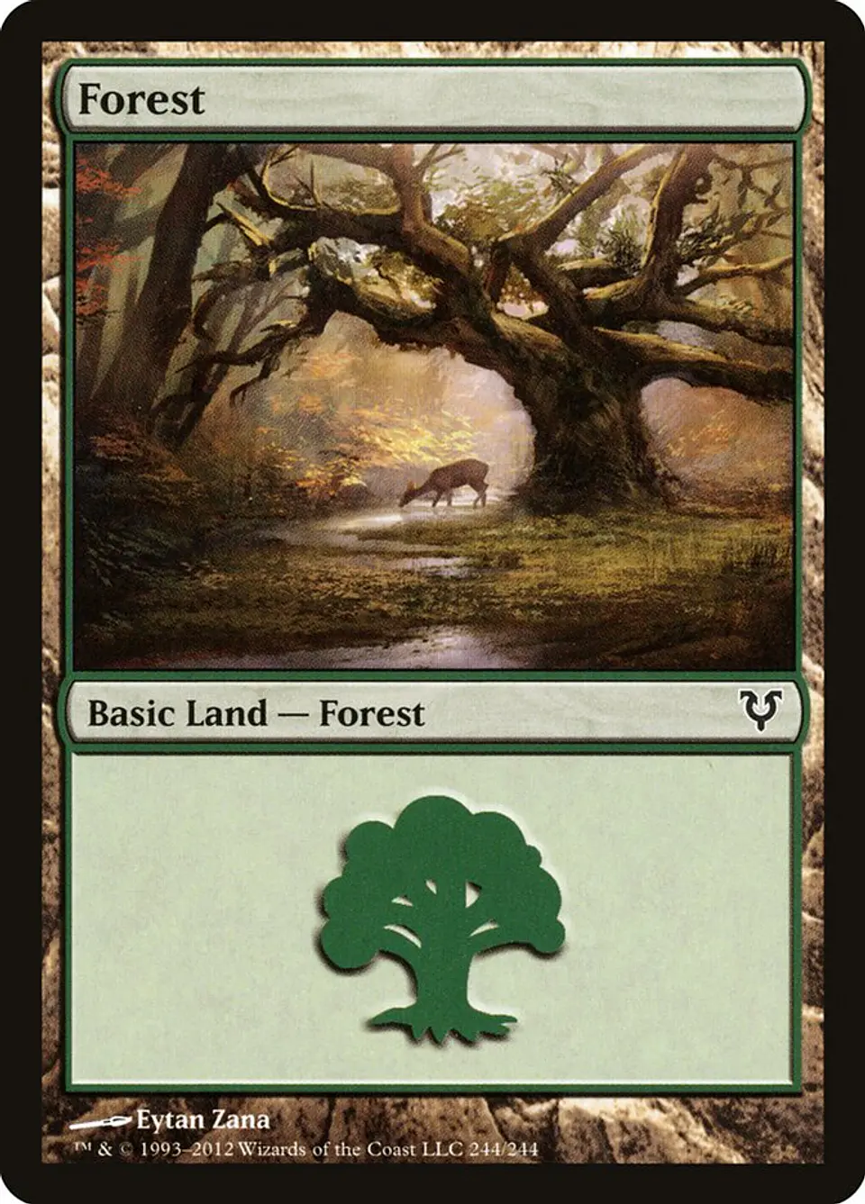 Forest 1