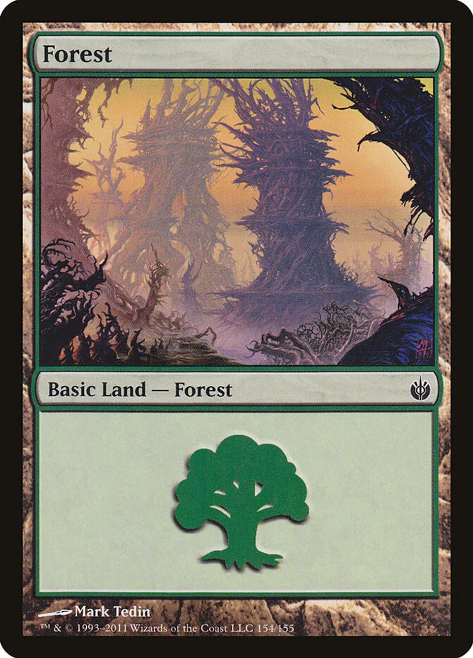 Forest 1