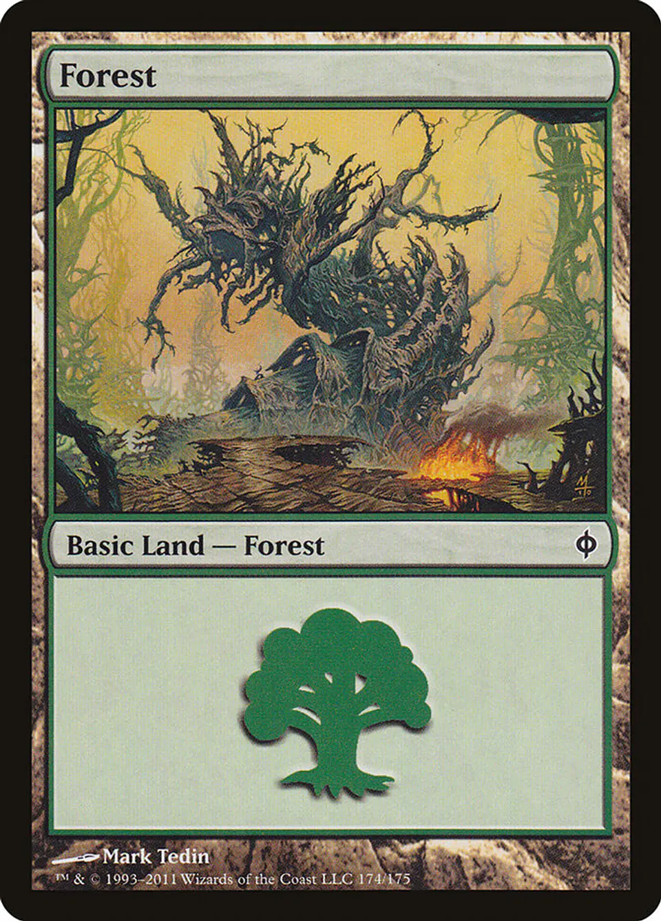 Forest 1