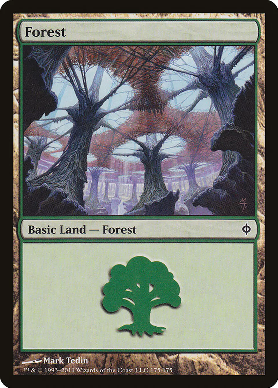 Forest 1