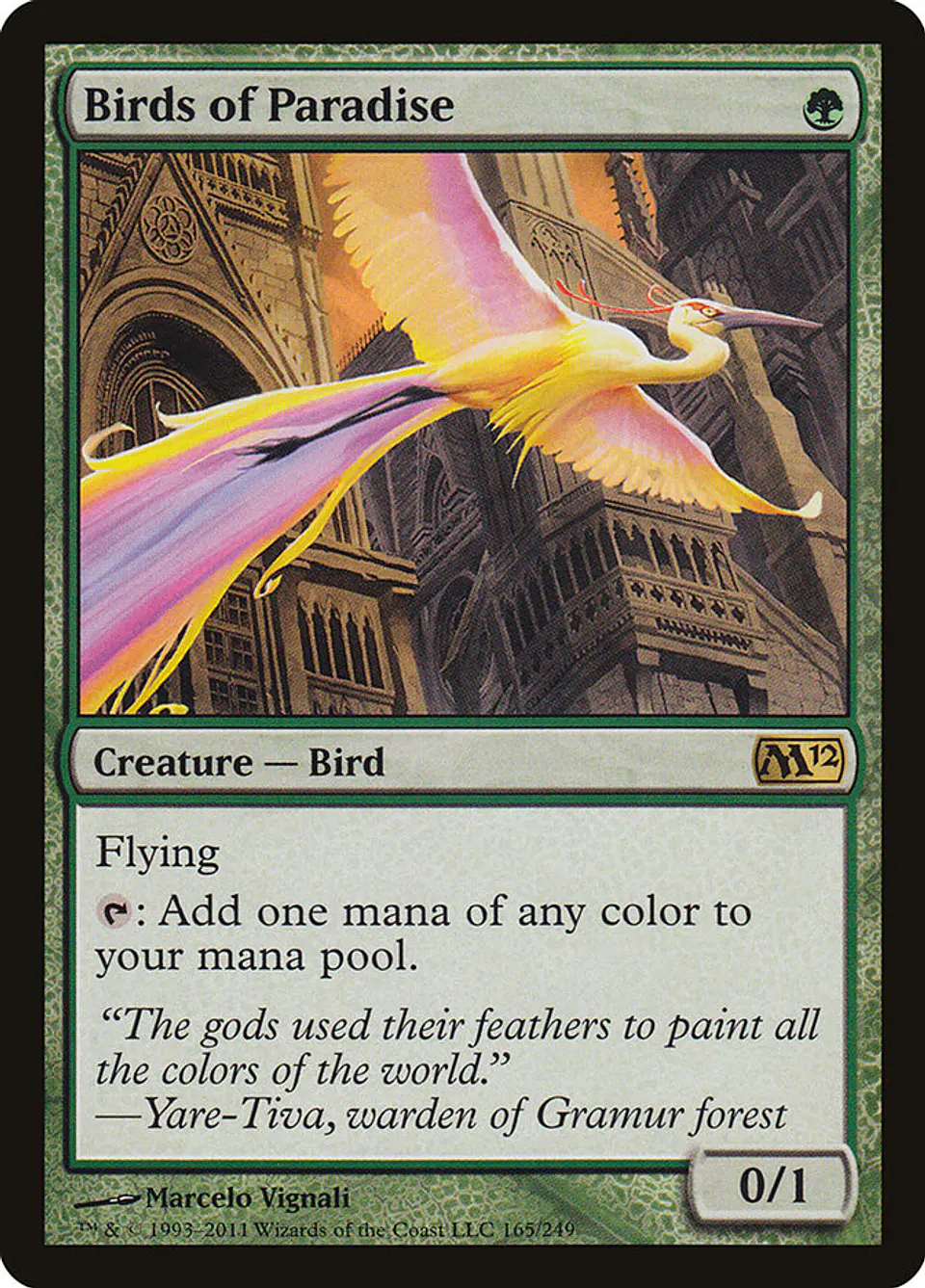 Birds of Paradise 1