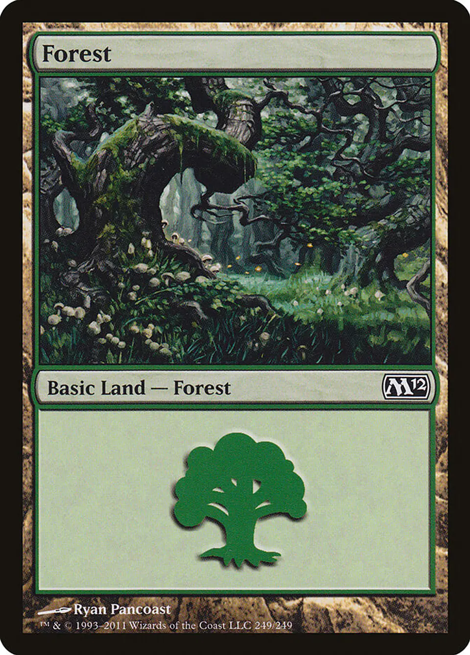 Forest 1