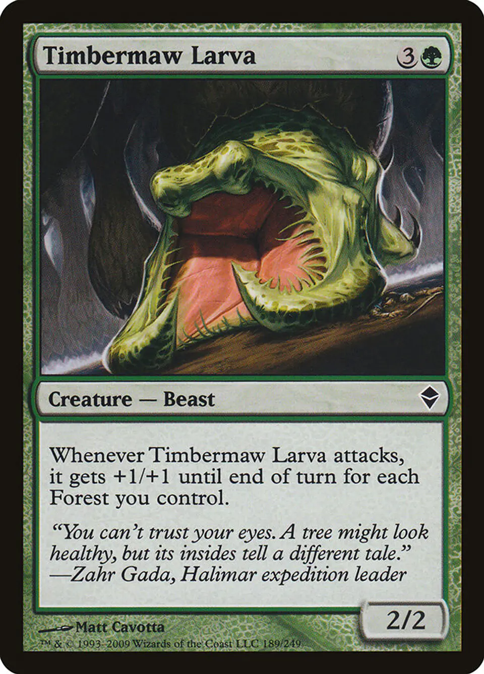 Timbermaw Larva 1