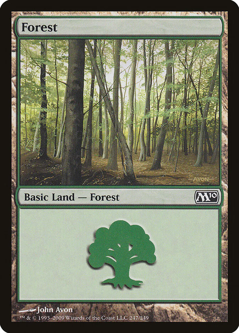 Forest 1