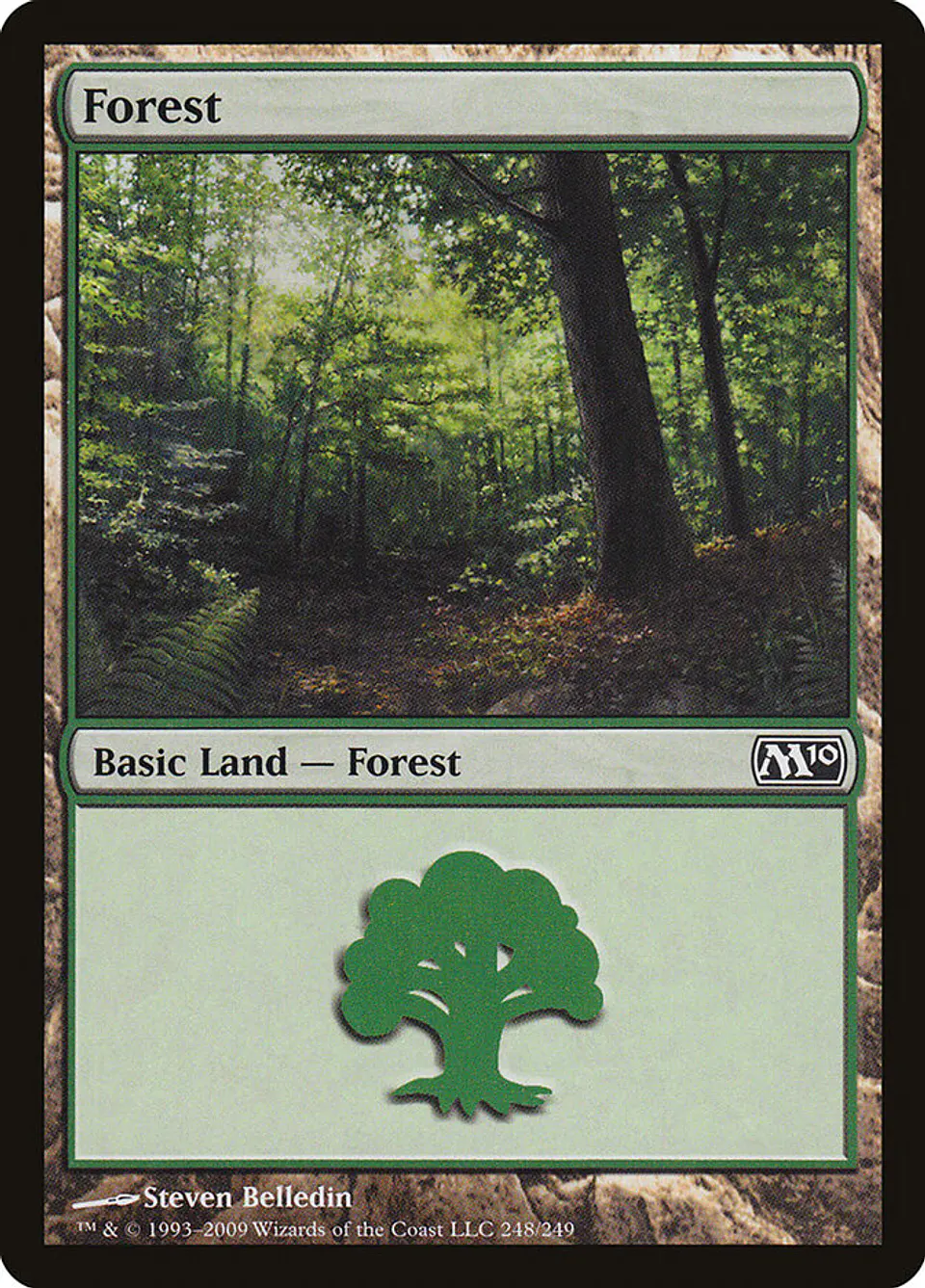 Forest 1