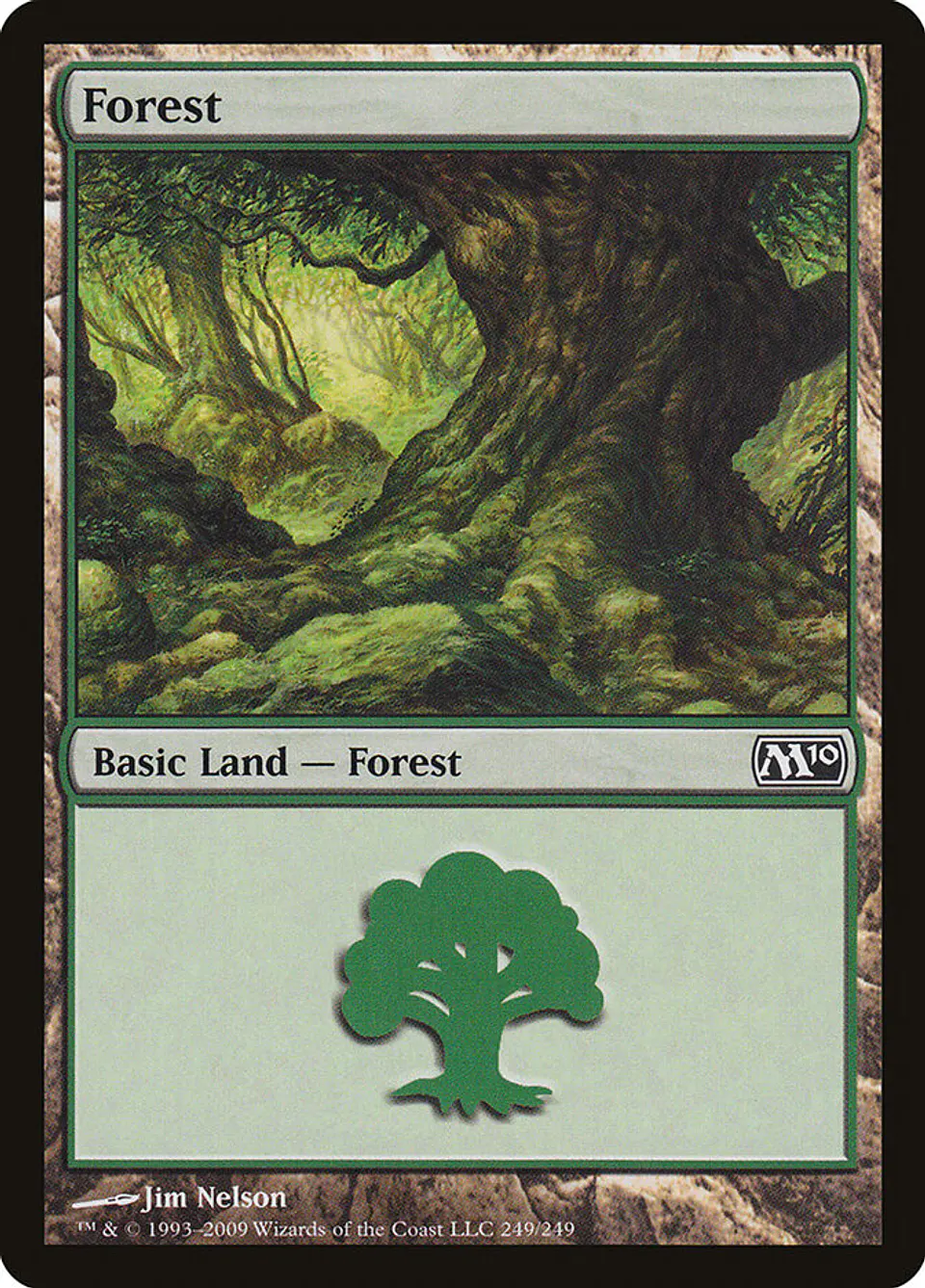 Forest 1