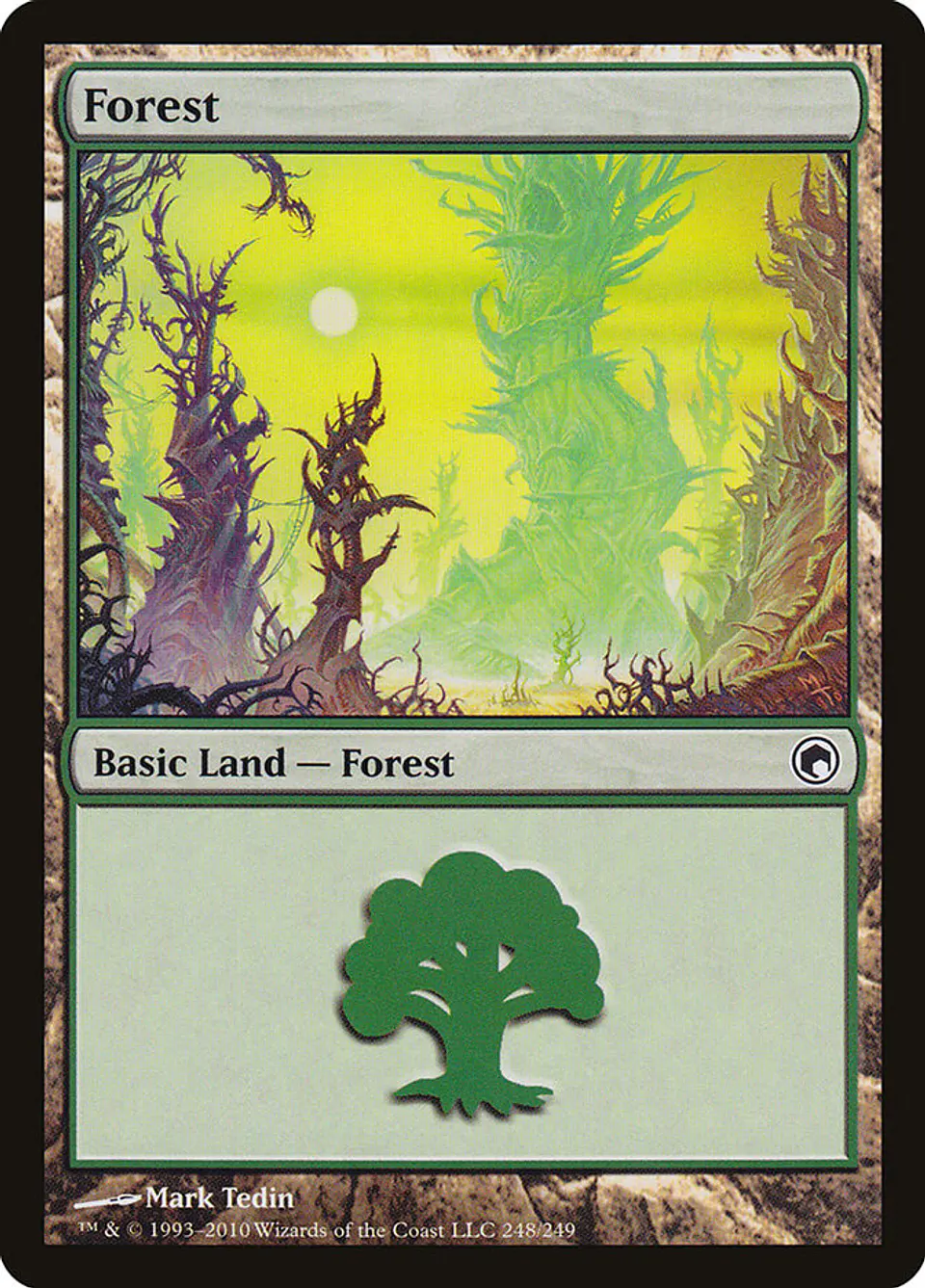 Forest 1