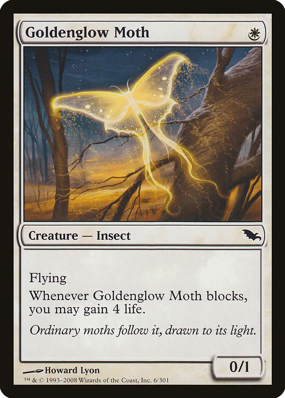 Goldenglow Moth 1