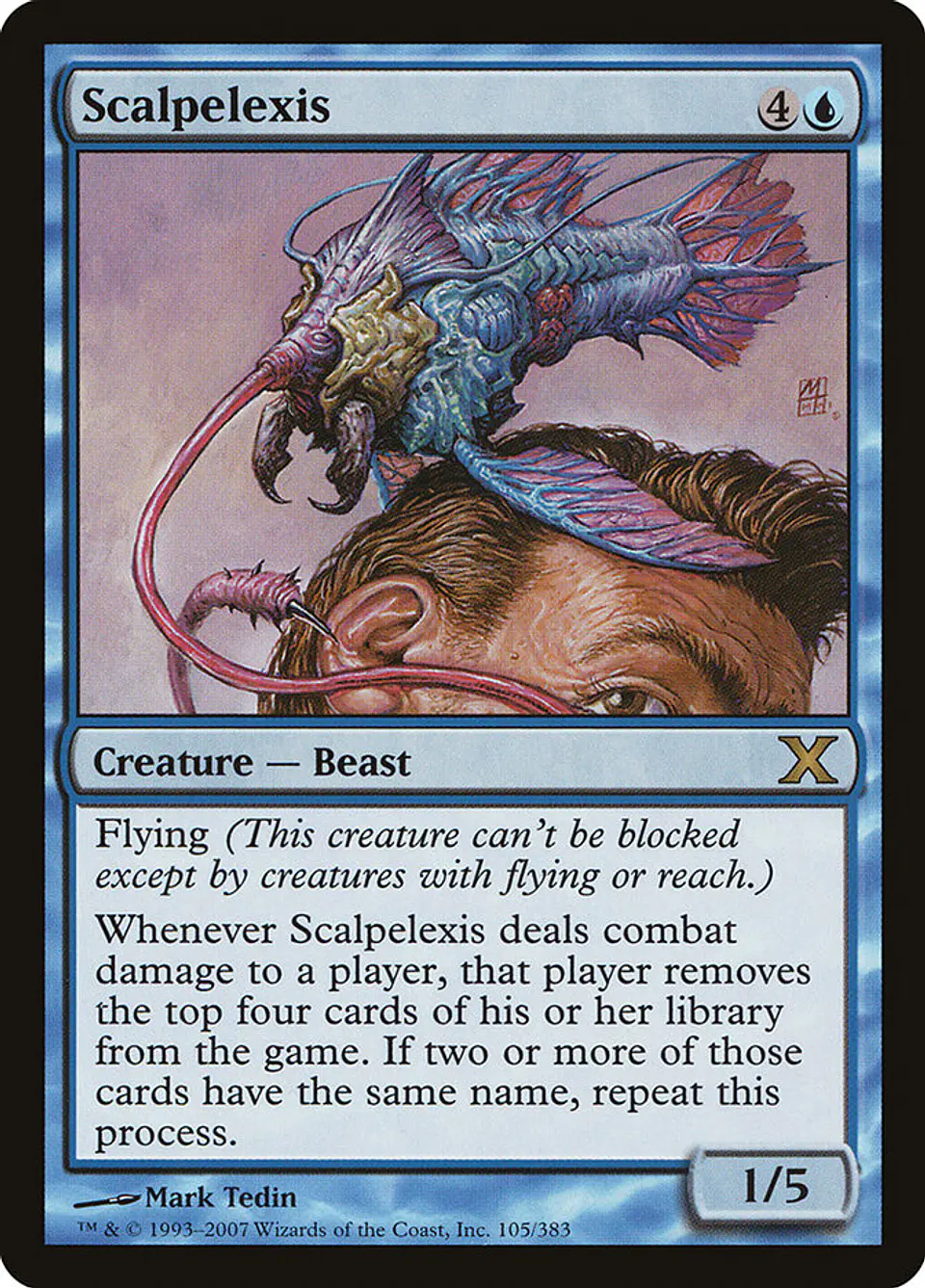 Scalpelexis 1