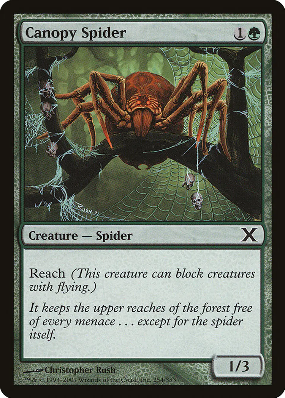 Canopy Spider 1