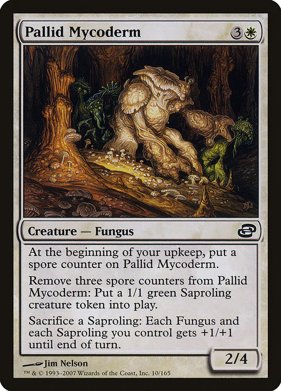 Pallid Mycoderm 1