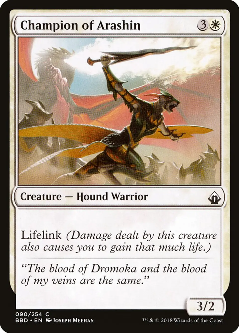 Champion of Arashin 1