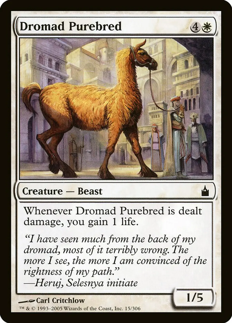 Dromad Purebred 1