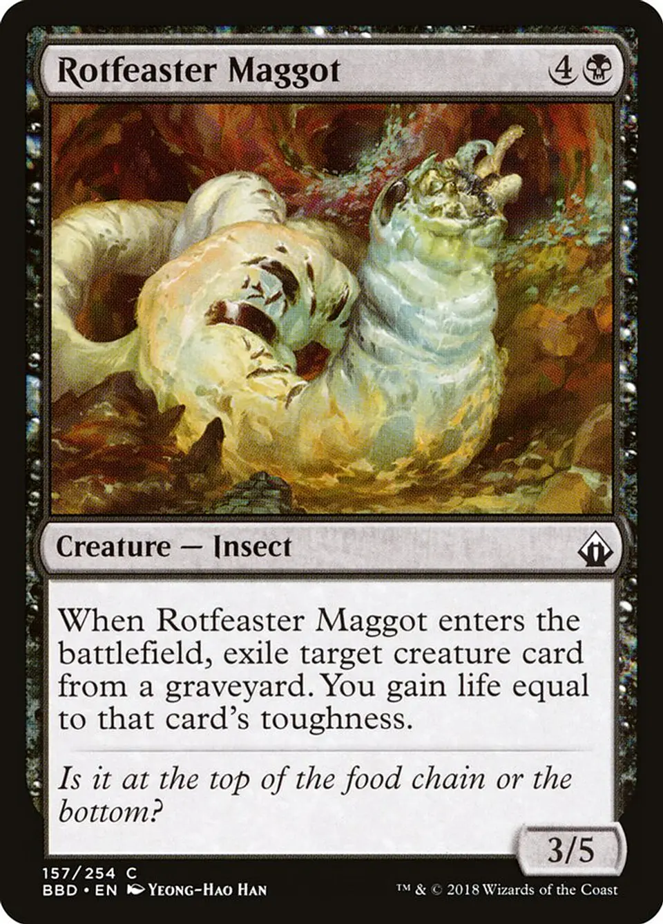 Rotfeaster Maggot 1