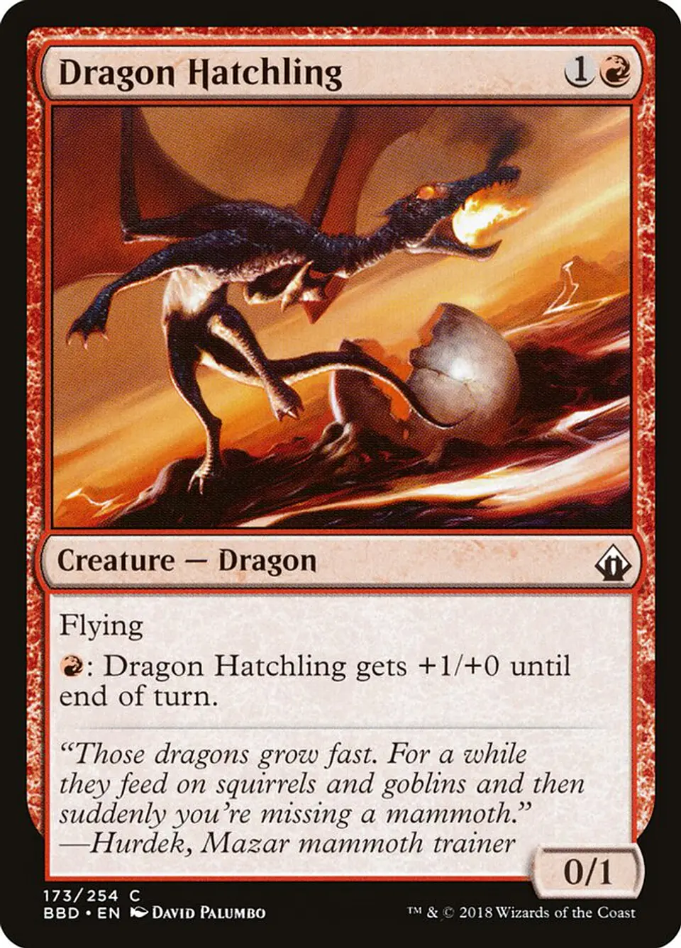 Dragon Hatchling 1