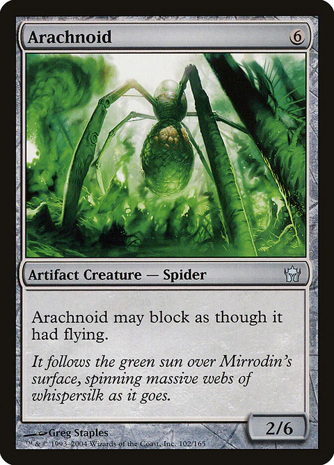 Arachnoid
