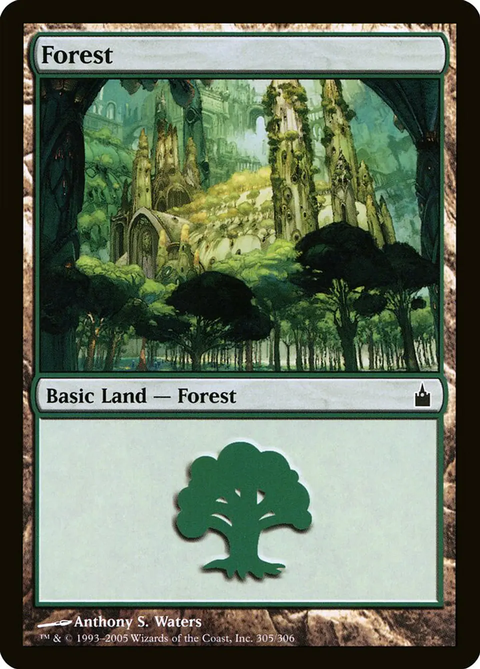 Forest 1