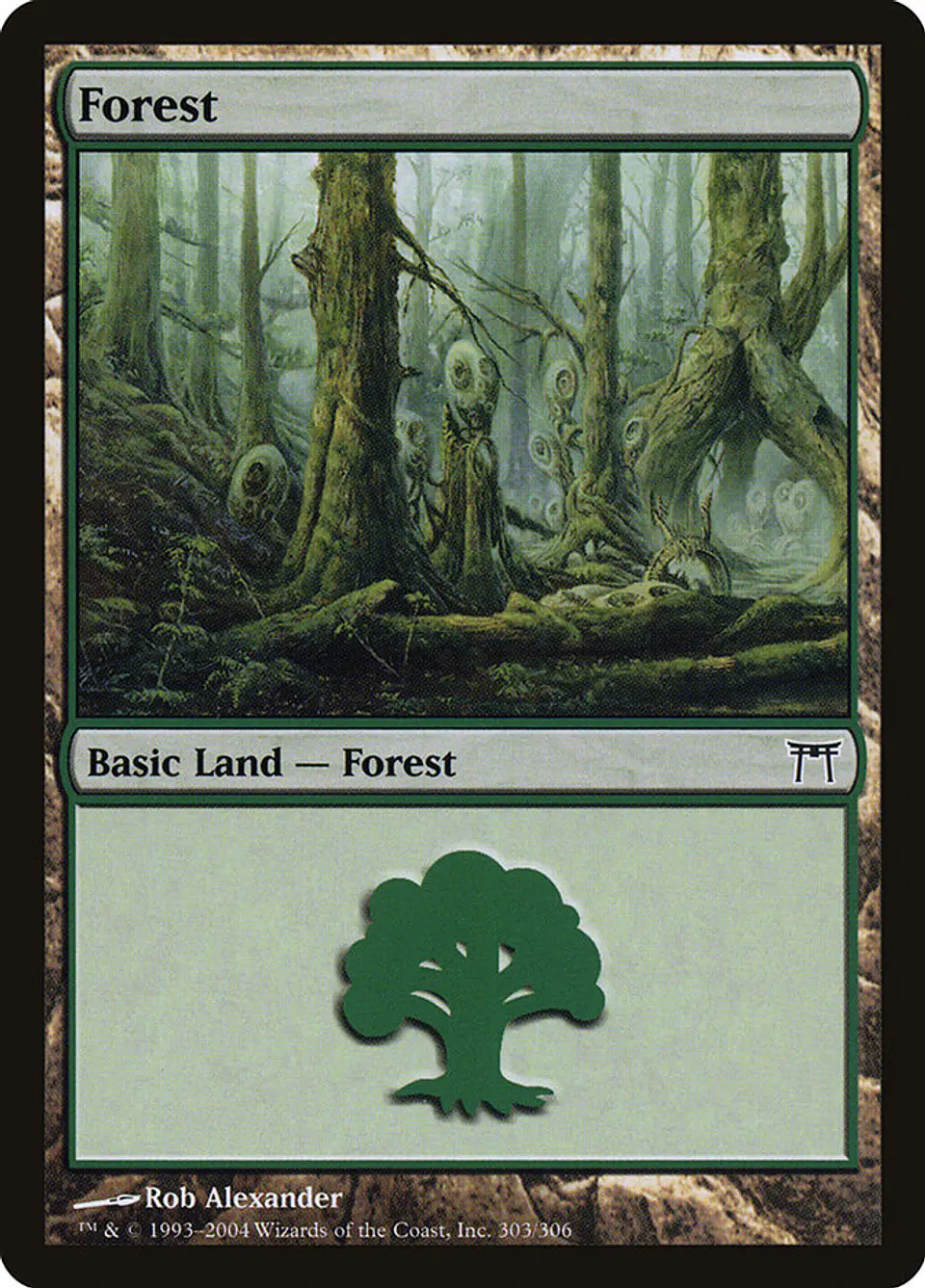 Forest 1