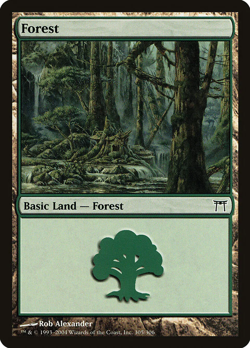 Forest 1
