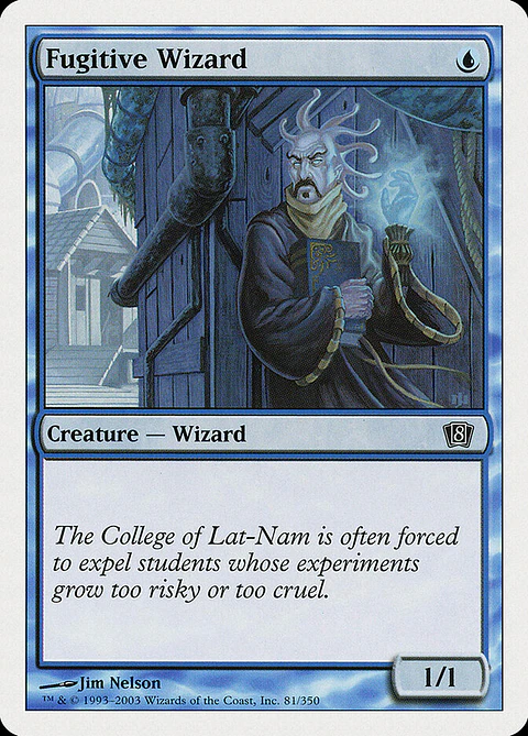 Fugitive Wizard