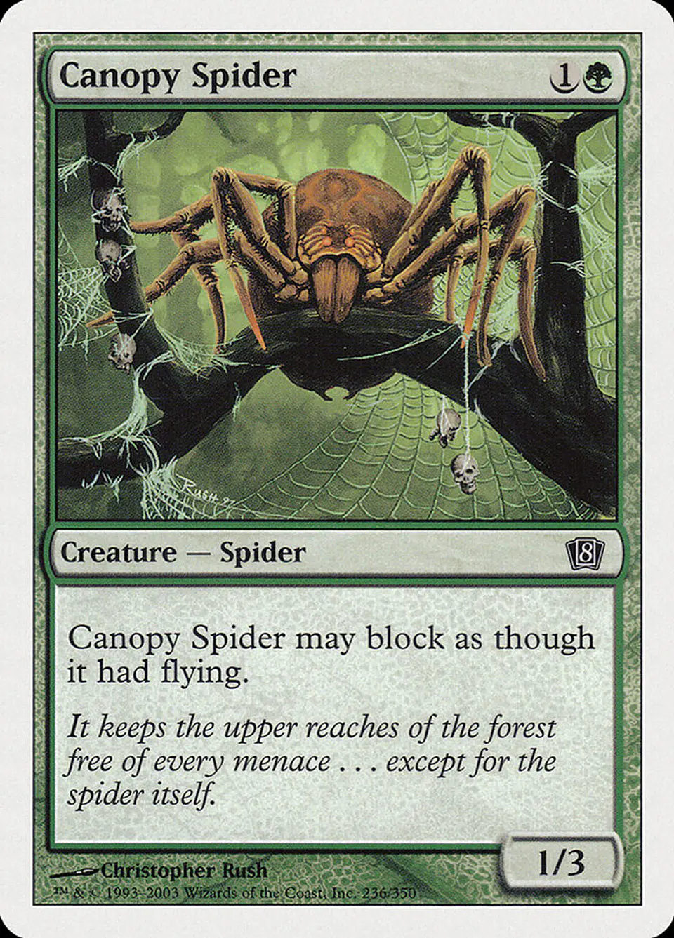 Canopy Spider 1