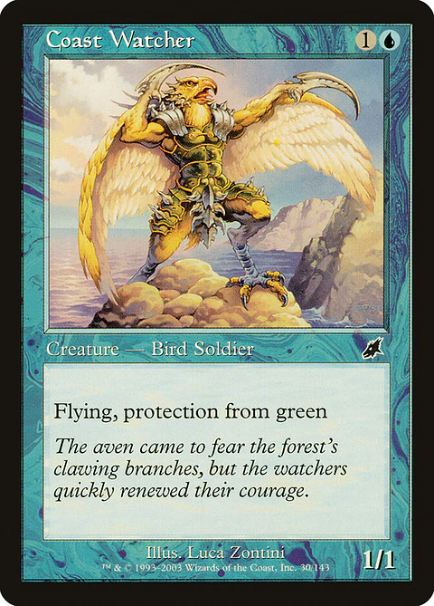 Coast Watcher (Retro Frame)