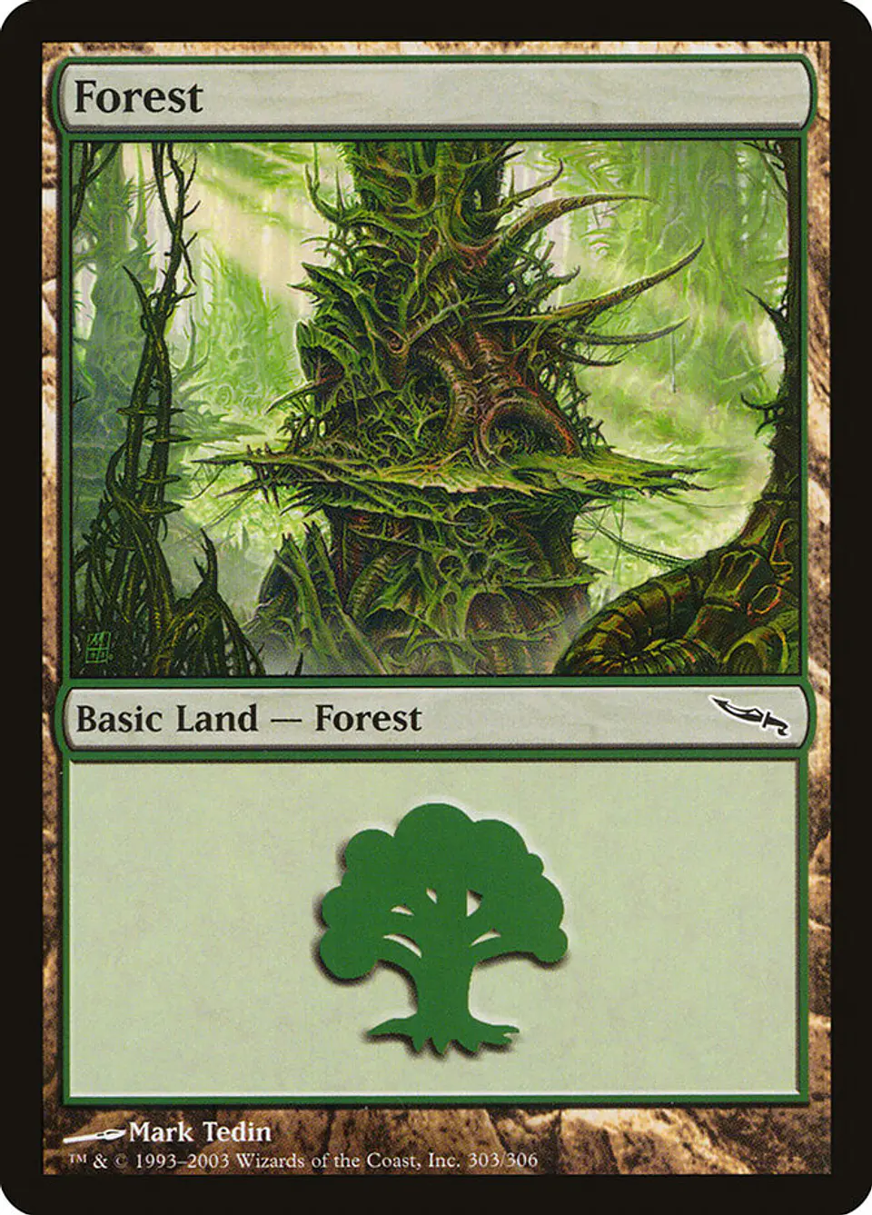 Forest 1