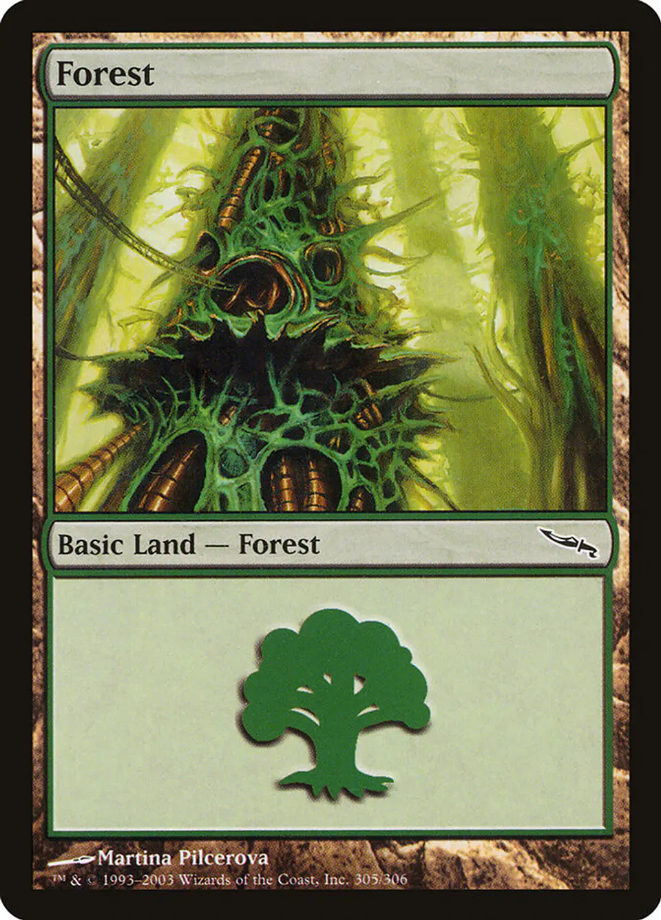 Forest 1