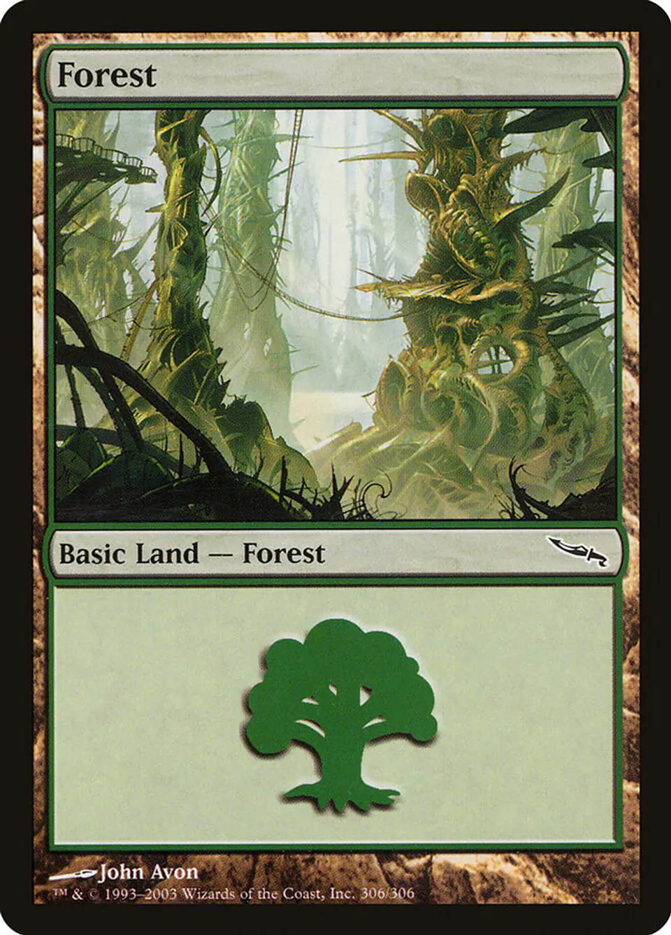 Forest 1