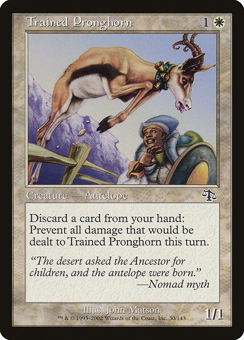 Trained Pronghorn (Retro Frame)