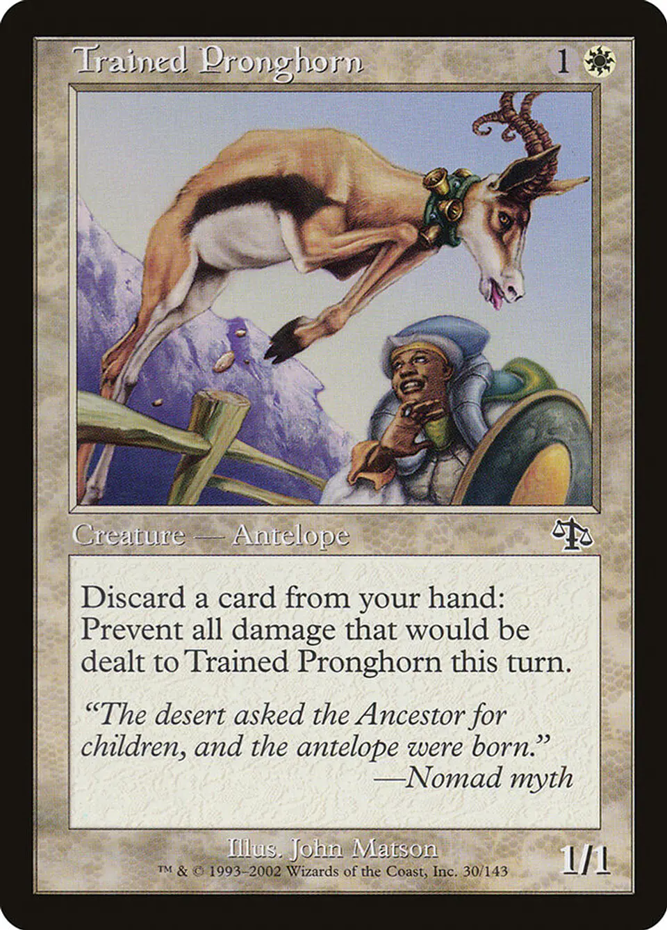 Trained Pronghorn (Retro Frame) 1