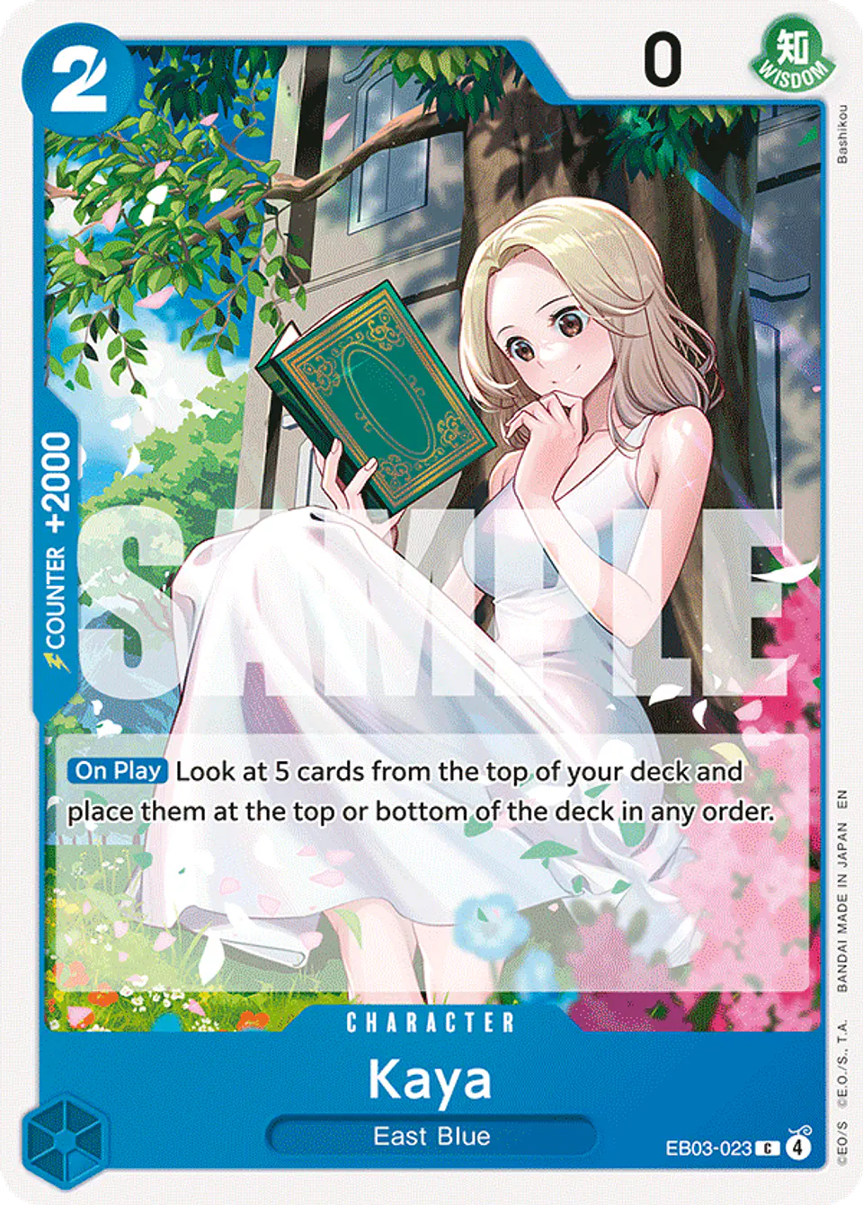 Kaya 1