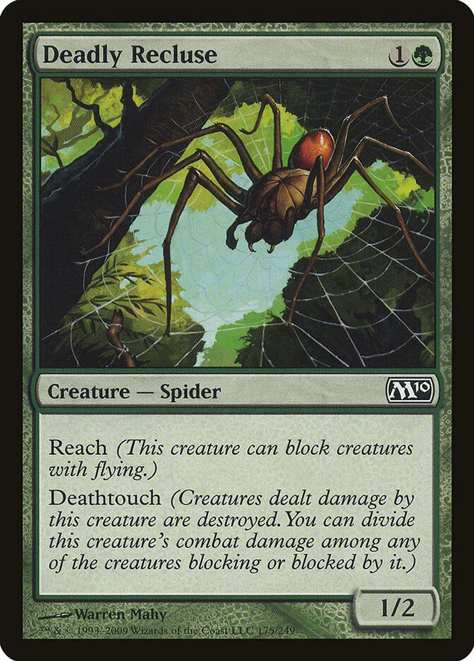 Deadly Recluse 1