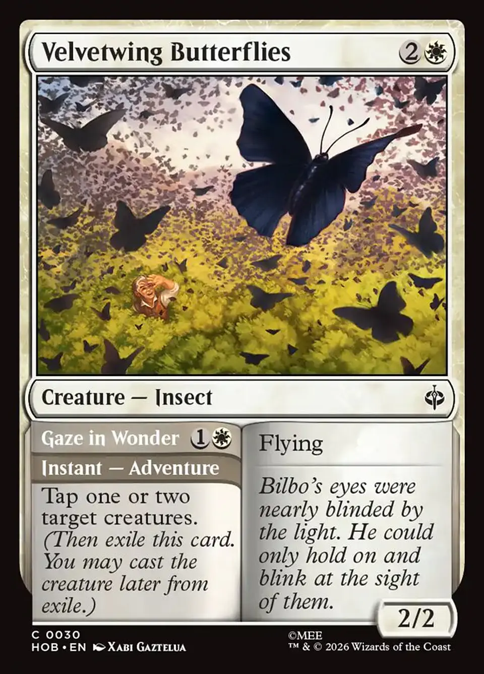 Velvetwing Butterflies // Gaze in Wonder 1