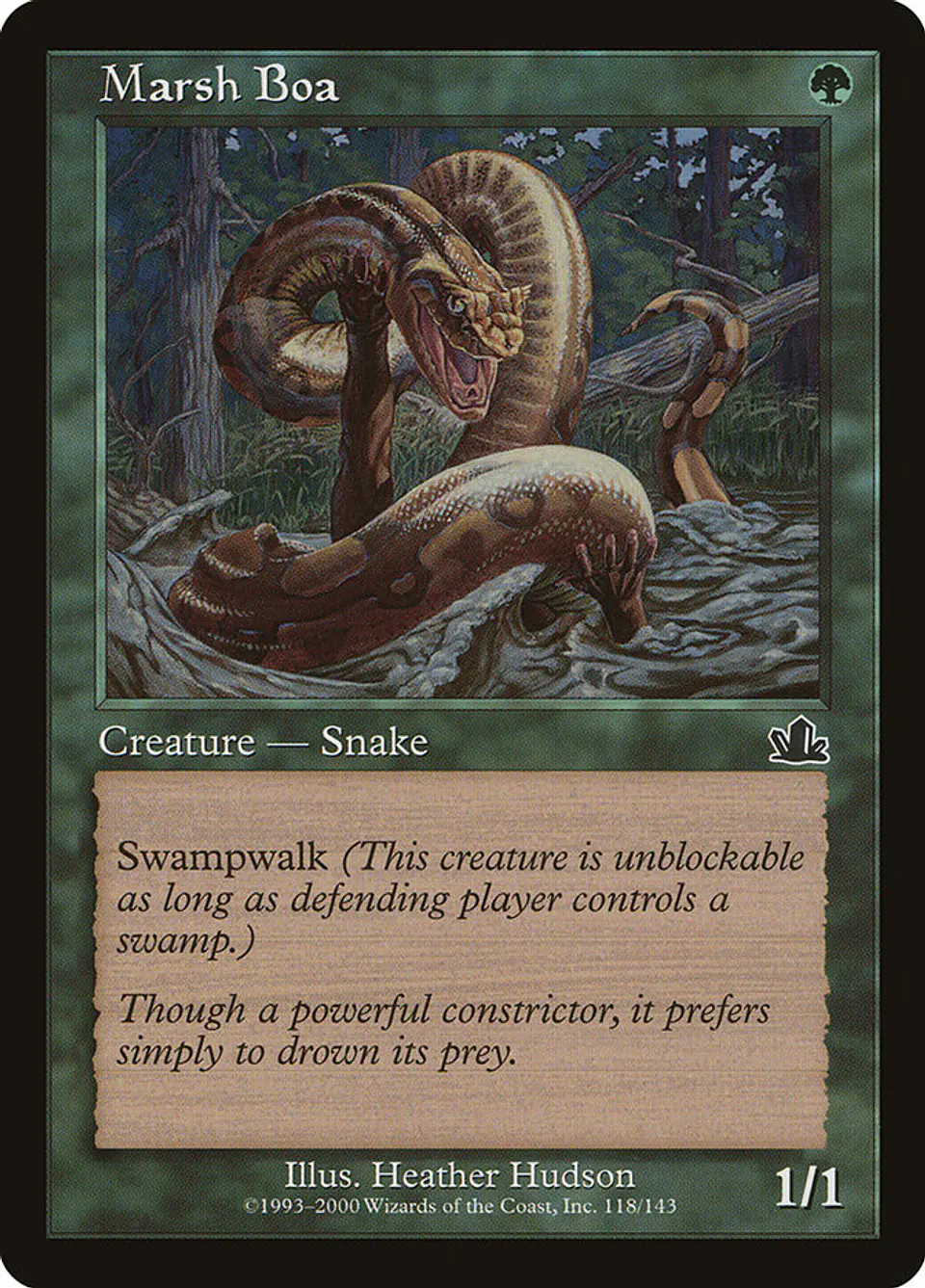 Marsh Boa (Retro Frame) 1