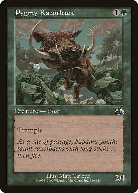 Pygmy Razorback (Retro Frame)