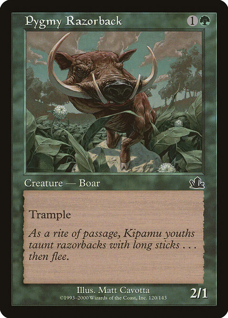 Pygmy Razorback (Retro Frame) 1