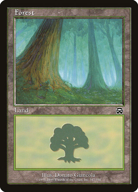Forest (Retro Frame)