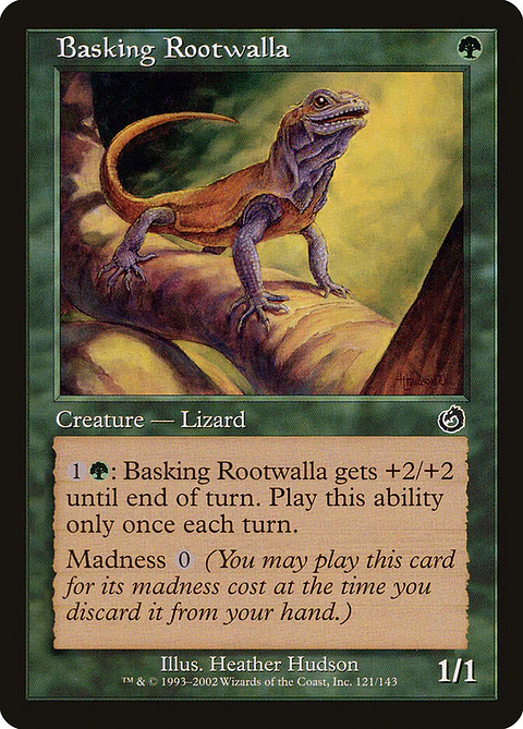 Basking Rootwalla (Retro Frame)