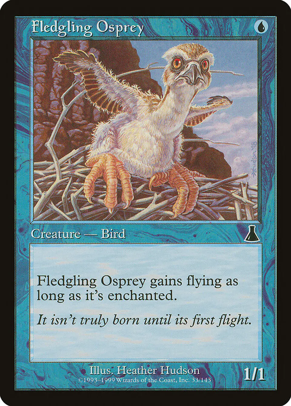 Fledgling Osprey (Retro Frame) 1