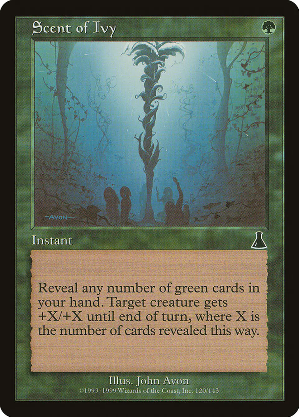Scent of Ivy (Retro Frame) 1