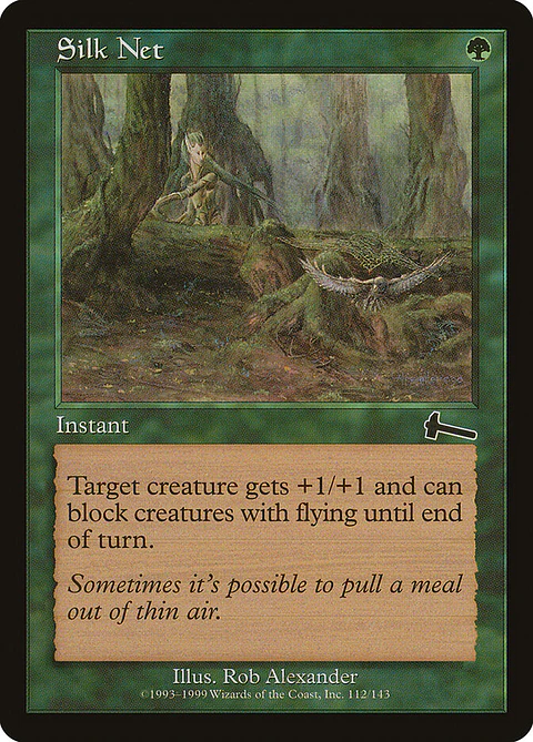 Silk Net (Retro Frame)