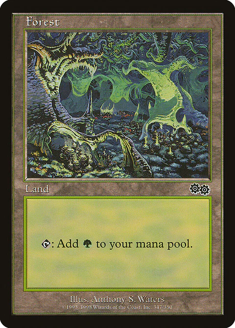Forest (Retro Frame)