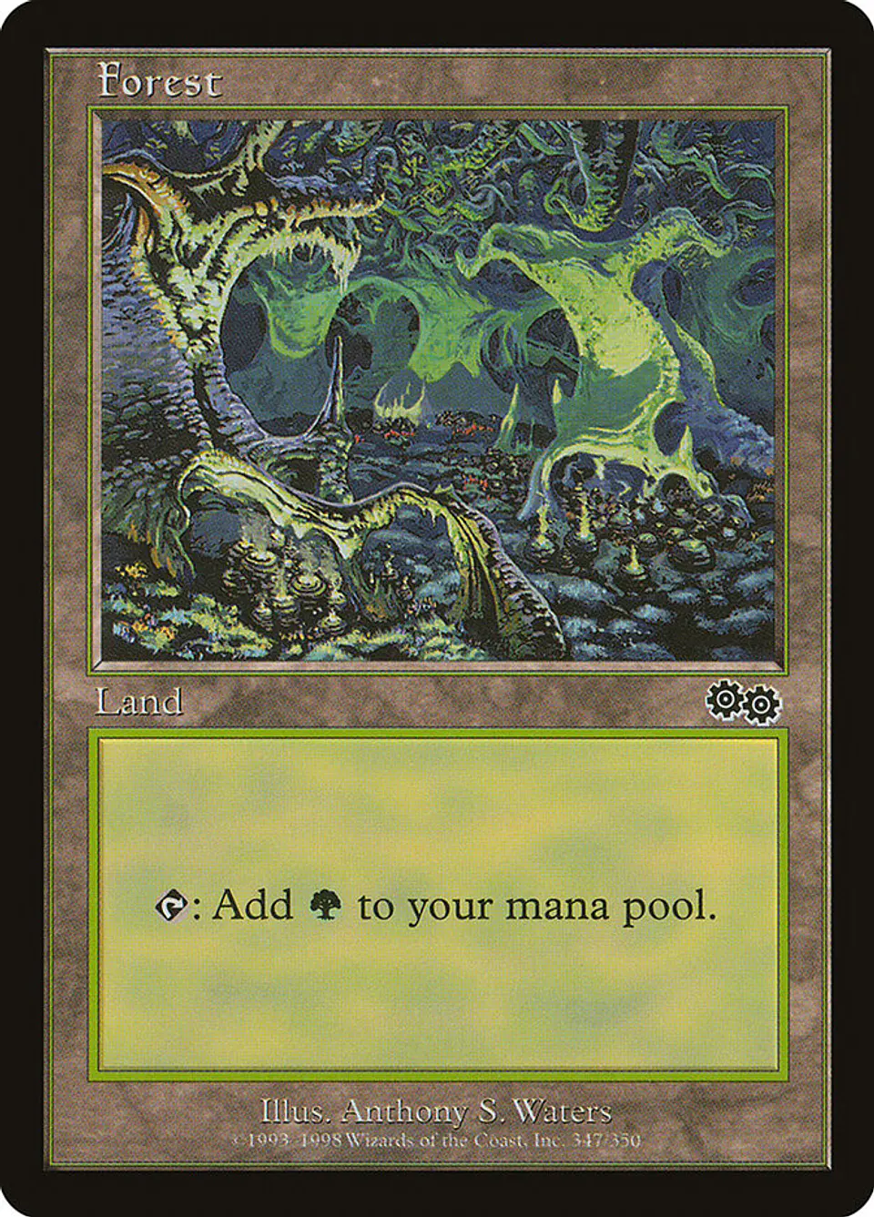 Forest (Retro Frame) 1