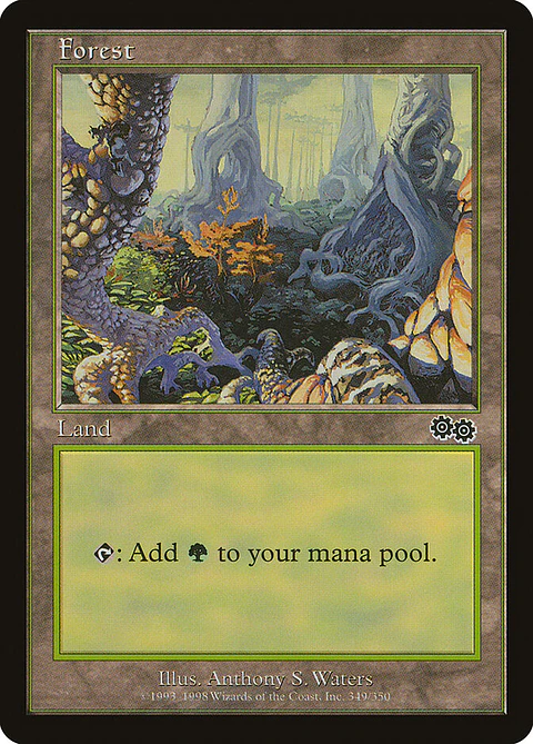 Forest (Retro Frame)
