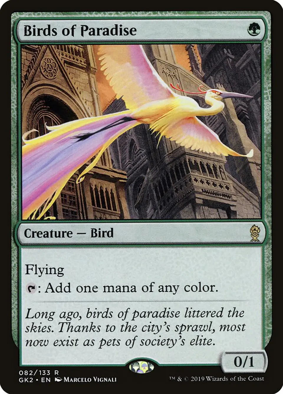 Birds of Paradise 1