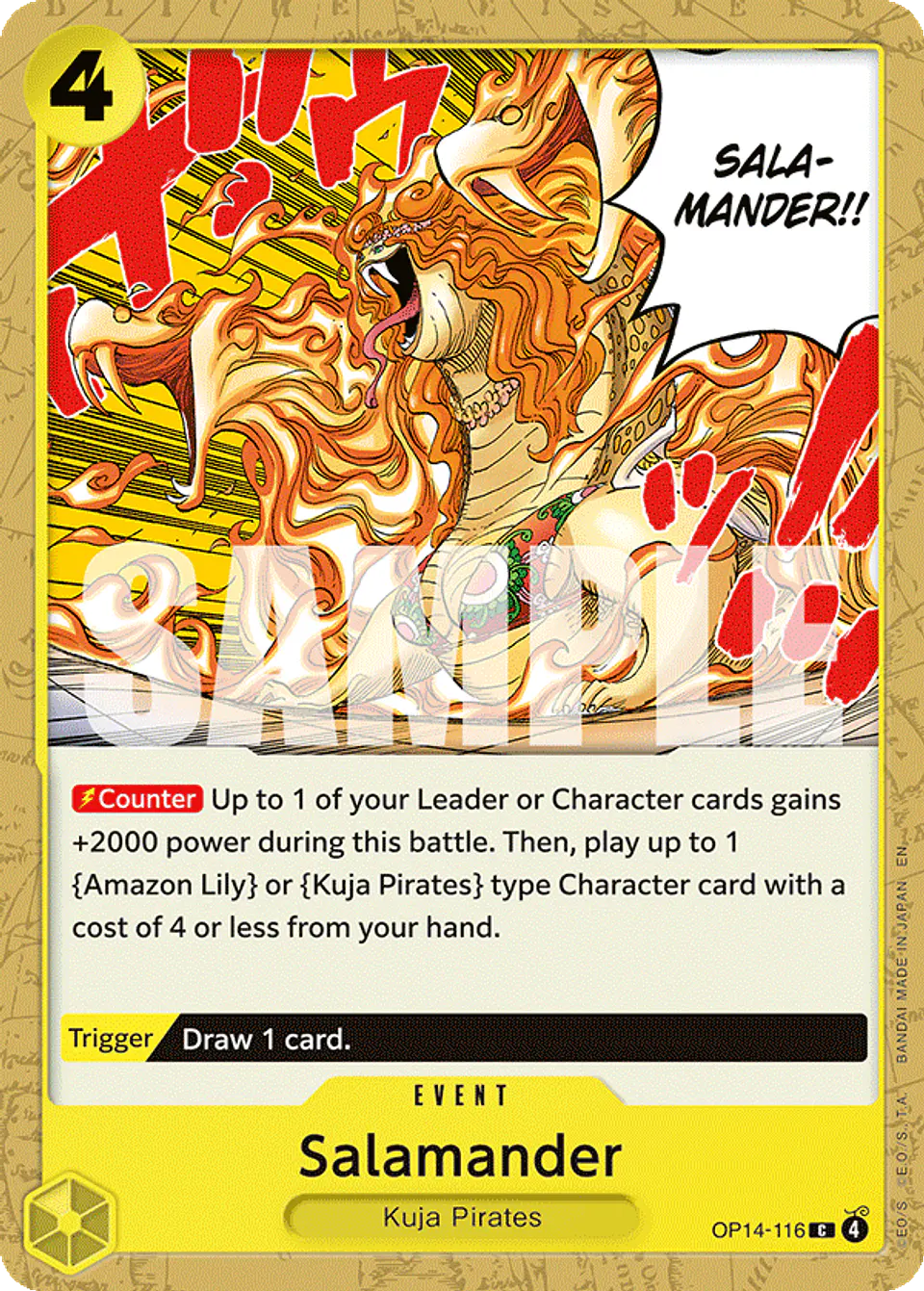 Salamander 1