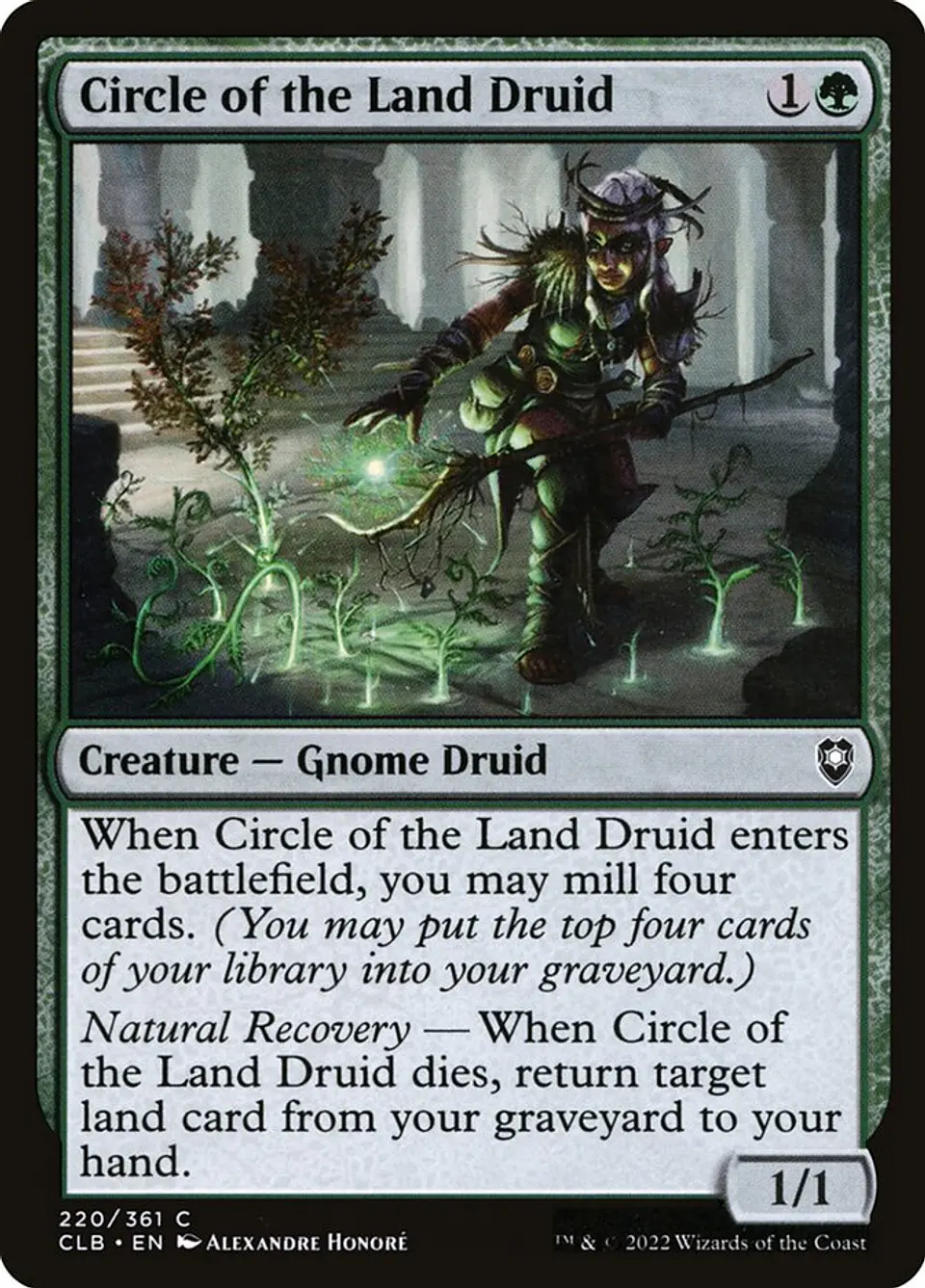 Circle of the Land Druid 1