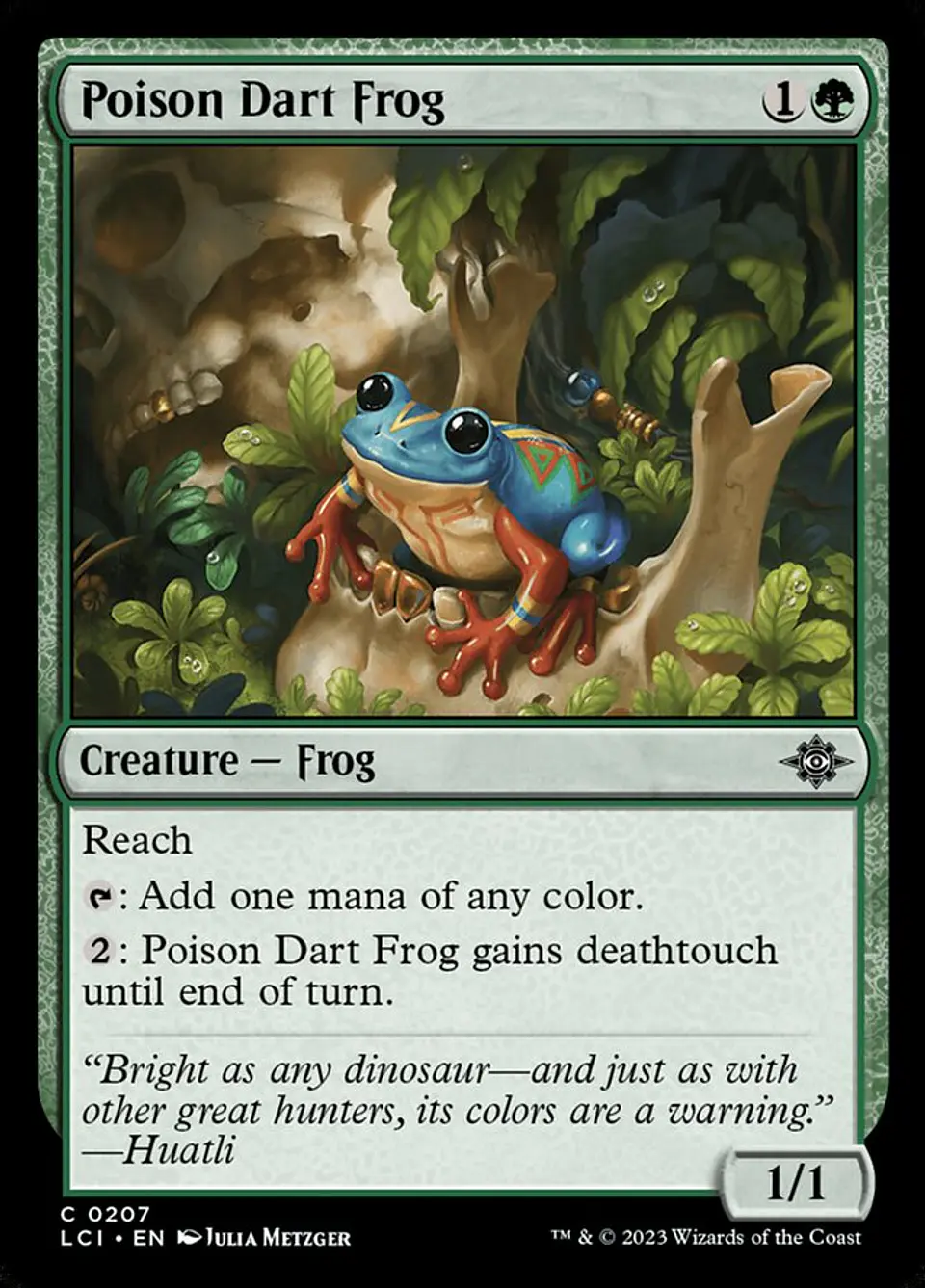 Poison Dart Frog 1